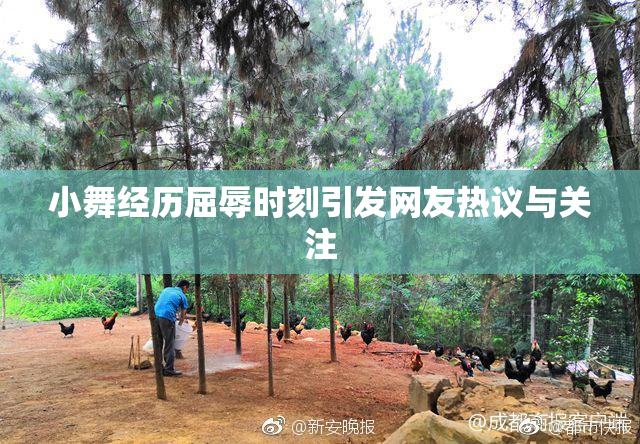 小舞经历屈辱时刻引发网友热议与关注