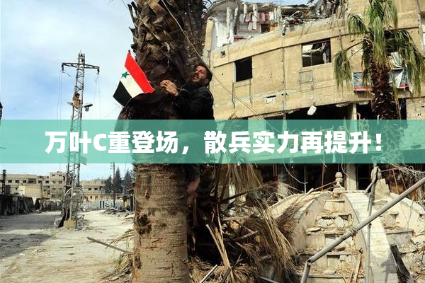 万叶C重登场，散兵实力再提升！