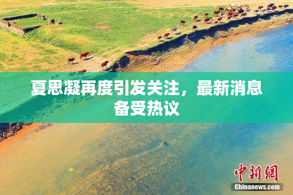 夏思凝再度引发关注，最新消息备受热议