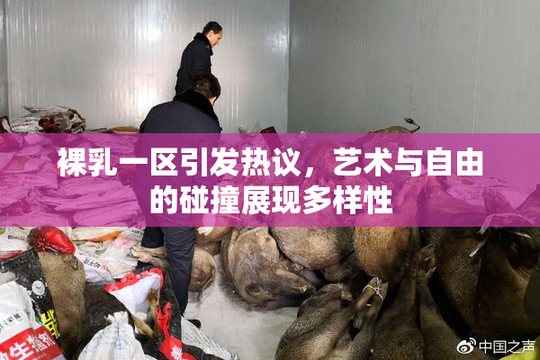 裸乳一区引发热议，艺术与自由的碰撞展现多样性