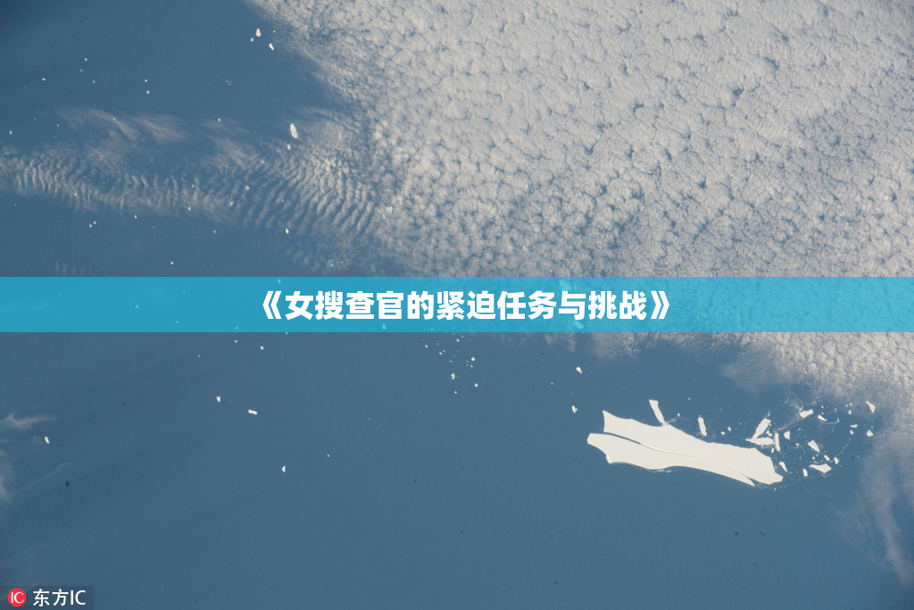 《女搜查官的紧迫任务与挑战》