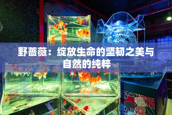 野蔷薇：绽放生命的坚韧之美与自然的纯粹