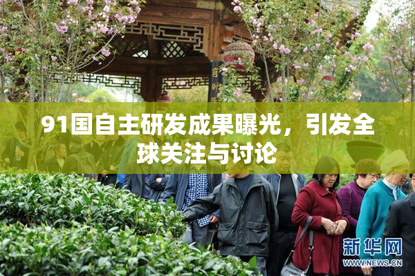 91国自主研发成果曝光，引发全球关注与讨论
