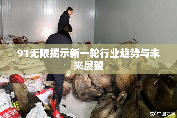 91无限揭示新一轮行业趋势与未来展望