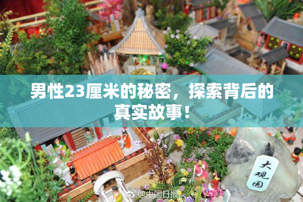 男性23厘米的秘密，探索背后的真实故事！