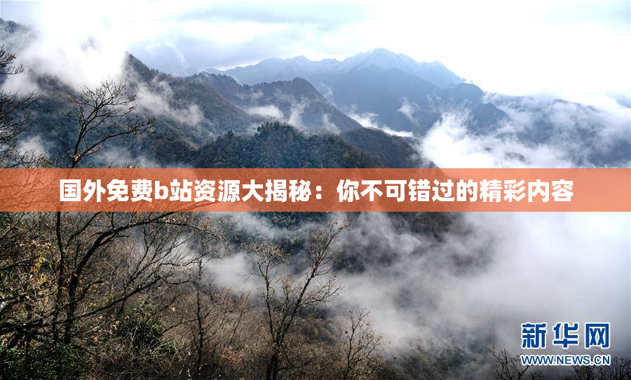 国外免费b站资源大揭秘：你不可错过的精彩内容