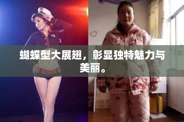 蝴蝶型大展翅，彰显独特魅力与美丽。