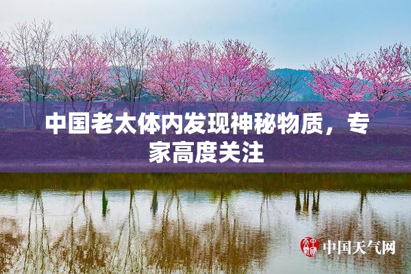 中国老太体内发现神秘物质，专家高度关注
