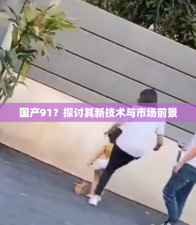 国产91？探讨其新技术与市场前景
