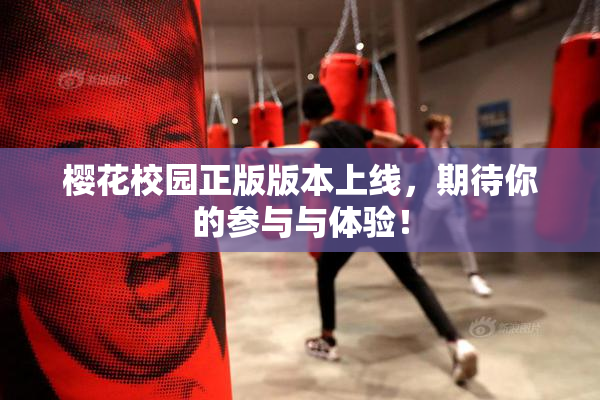 樱花校园正版版本上线，期待你的参与与体验！