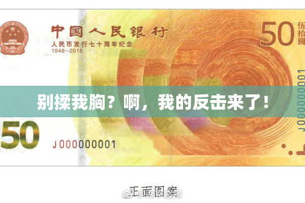 别揉我胸？啊，我的反击来了！
