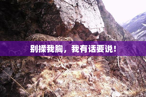 别揉我胸，我有话要说！