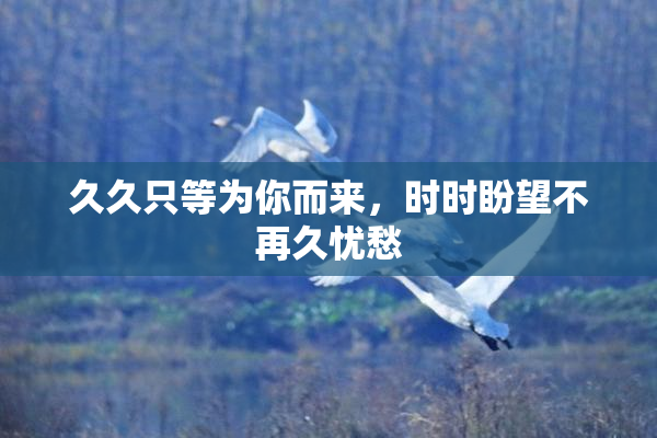 久久只等为你而来，时时盼望不再久忧愁
