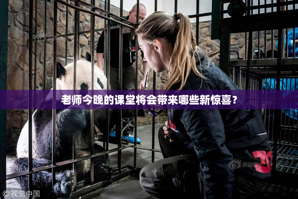 老师今晚的课堂将会带来哪些新惊喜？