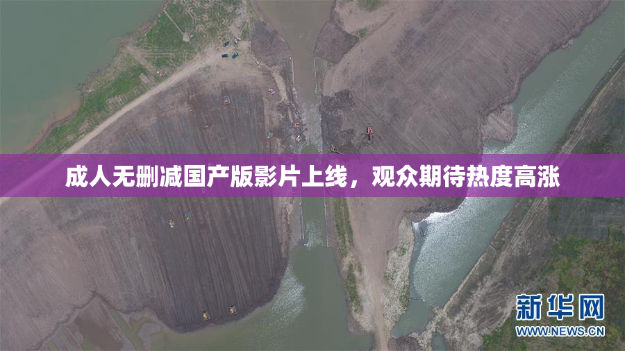 成人无删减国产版影片上线，观众期待热度高涨