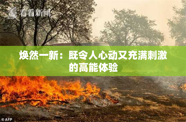 焕然一新：既令人心动又充满刺激的高能体验