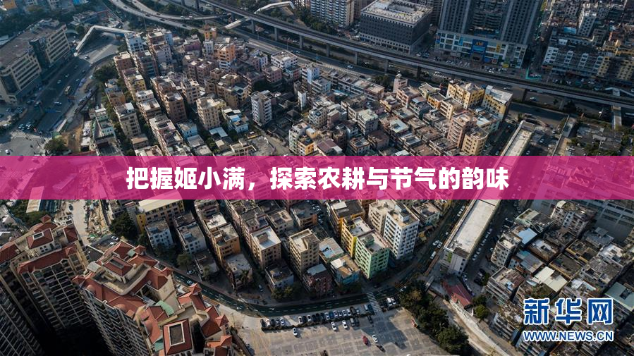 把握姬小满，探索农耕与节气的韵味