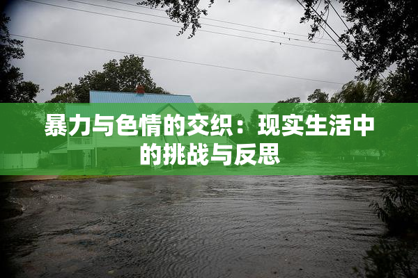 暴力与色情的交织：现实生活中的挑战与反思