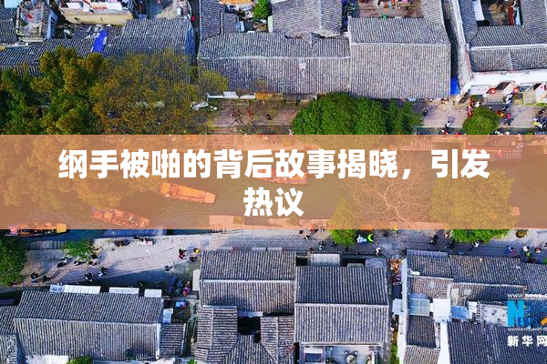 纲手被啪的背后故事揭晓，引发热议
