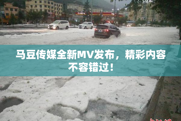 马豆传媒全新MV发布，精彩内容不容错过！