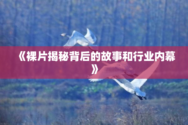 《裸片揭秘背后的故事和行业内幕》