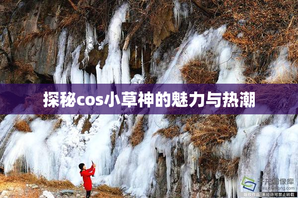 探秘cos小草神的魅力与热潮