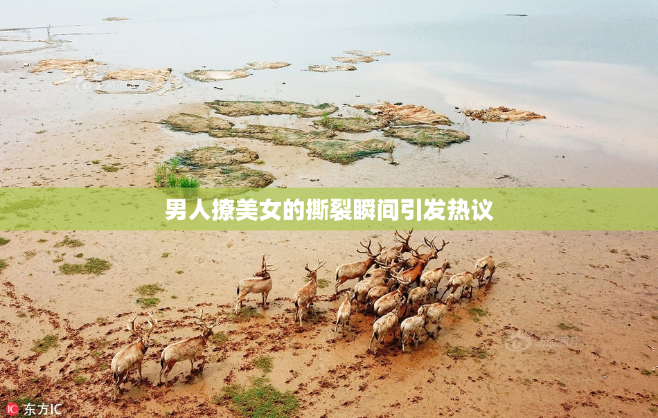 男人撩美女的撕裂瞬间引发热议