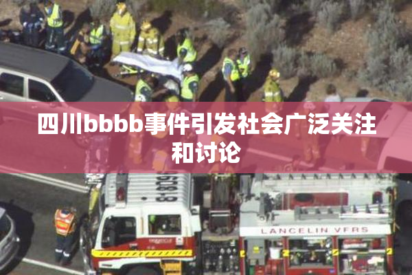 四川bbbb事件引发社会广泛关注和讨论