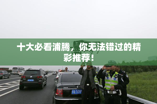 十大必看浦腾，你无法错过的精彩推荐！