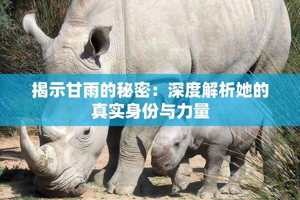 揭示甘雨的秘密：深度解析她的真实身份与力量