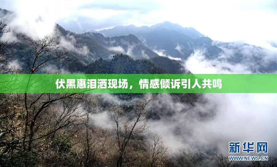 伏黑惠泪洒现场，情感倾诉引人共鸣