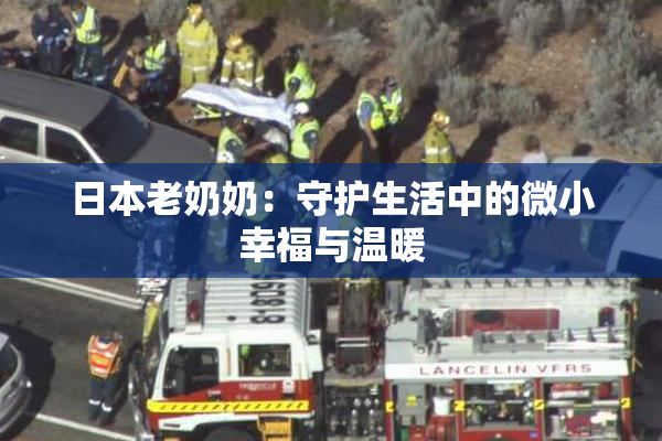 日本老奶奶：守护生活中的微小幸福与温暖