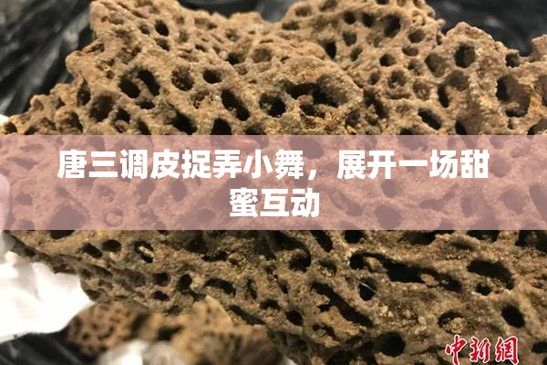 唐三调皮捉弄小舞，展开一场甜蜜互动