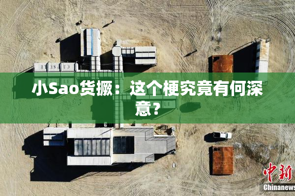 小Sao货撅：这个梗究竟有何深意？