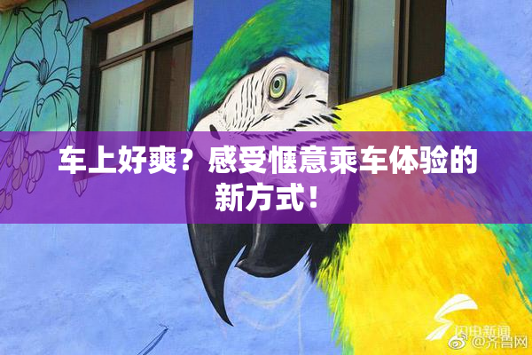 车上好爽？感受惬意乘车体验的新方式！