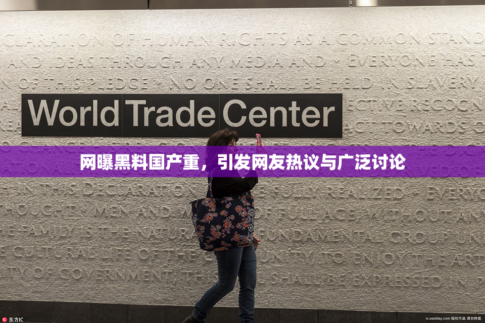 网曝黑料国产重，引发网友热议与广泛讨论