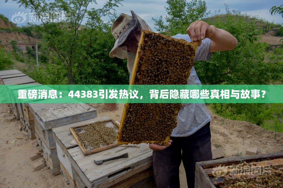 重磅消息：44383引发热议，背后隐藏哪些真相与故事？