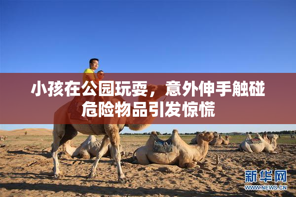 小孩在公园玩耍，意外伸手触碰危险物品引发惊慌