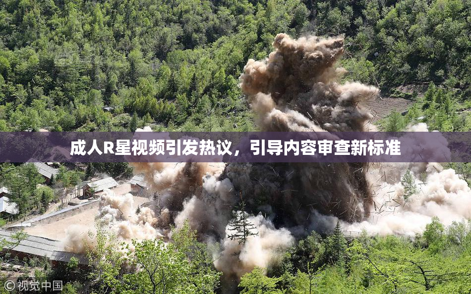 成人R星视频引发热议，引导内容审查新标准