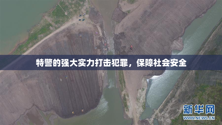 特警的强大实力打击犯罪，保障社会安全