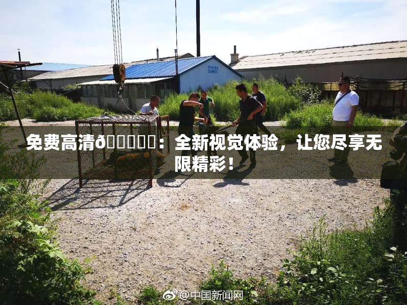 免费高清🔞❌‌：全新视觉体验，让您尽享无限精彩！
