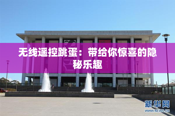 无线遥控跳蛋：带给你惊喜的隐秘乐趣