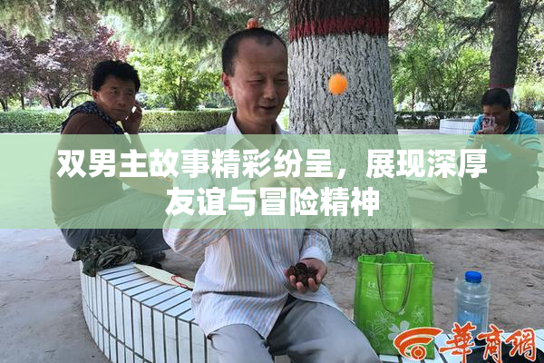 双男主故事精彩纷呈，展现深厚友谊与冒险精神