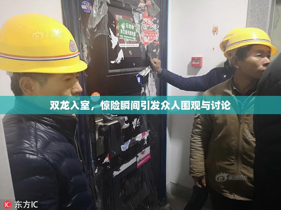 双龙入室，惊险瞬间引发众人围观与讨论