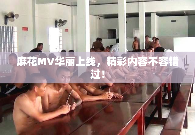 麻花MV华丽上线，精彩内容不容错过！