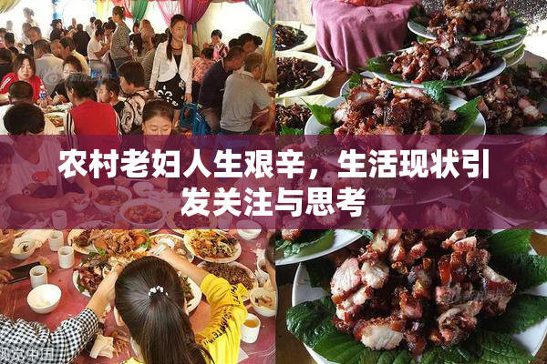 农村老妇人生艰辛，生活现状引发关注与思考