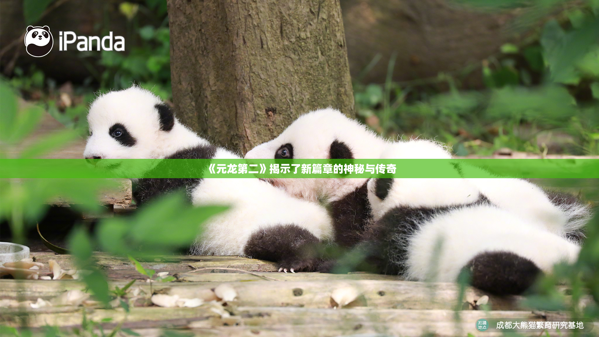 《元龙第二》揭示了新篇章的神秘与传奇