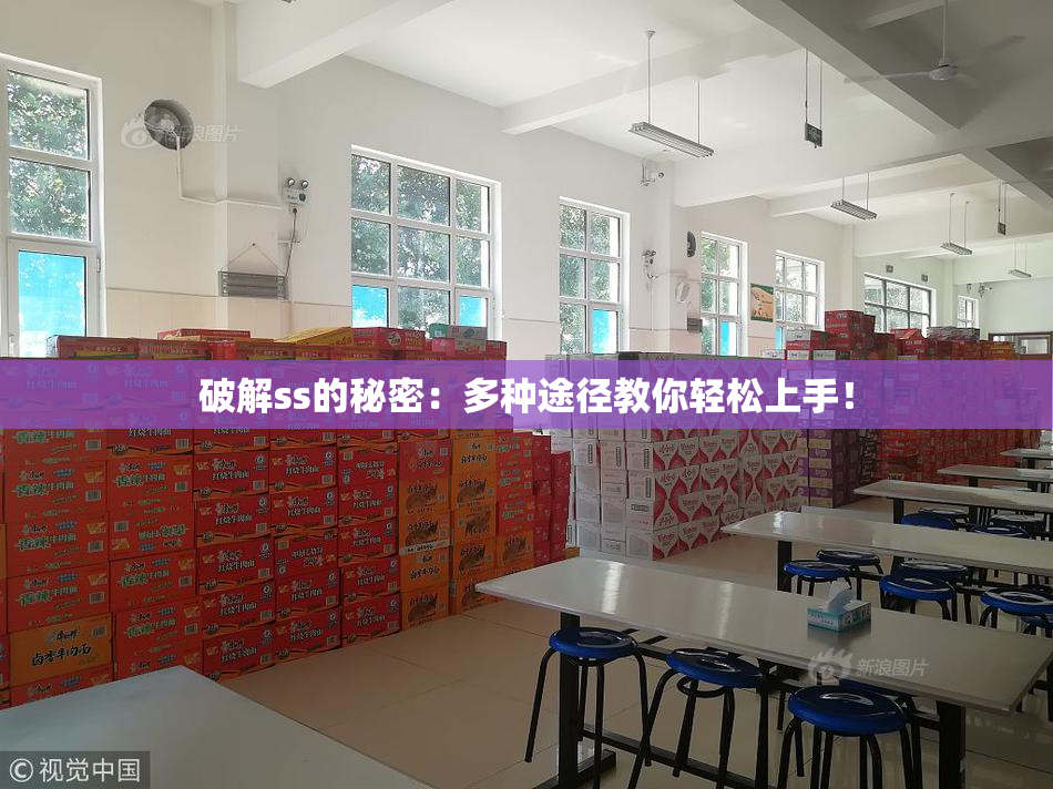 破解ss的秘密：多种途径教你轻松上手！