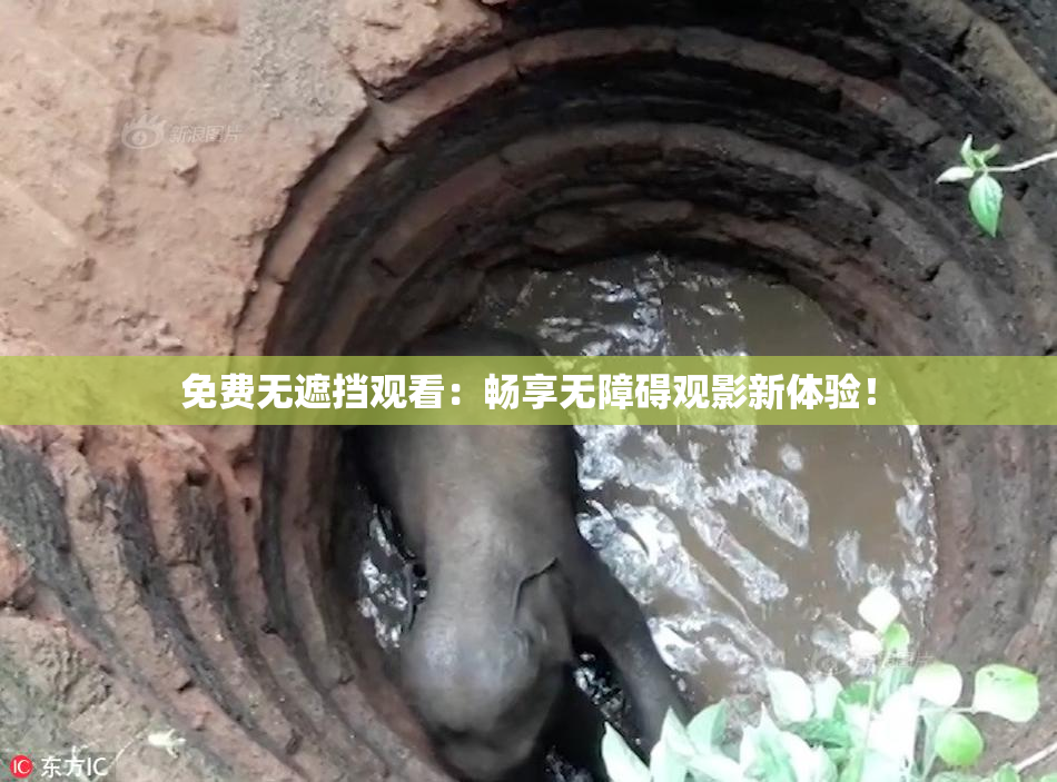 免费无遮挡观看：畅享无障碍观影新体验！