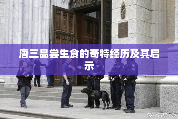 唐三品尝生食的奇特经历及其启示